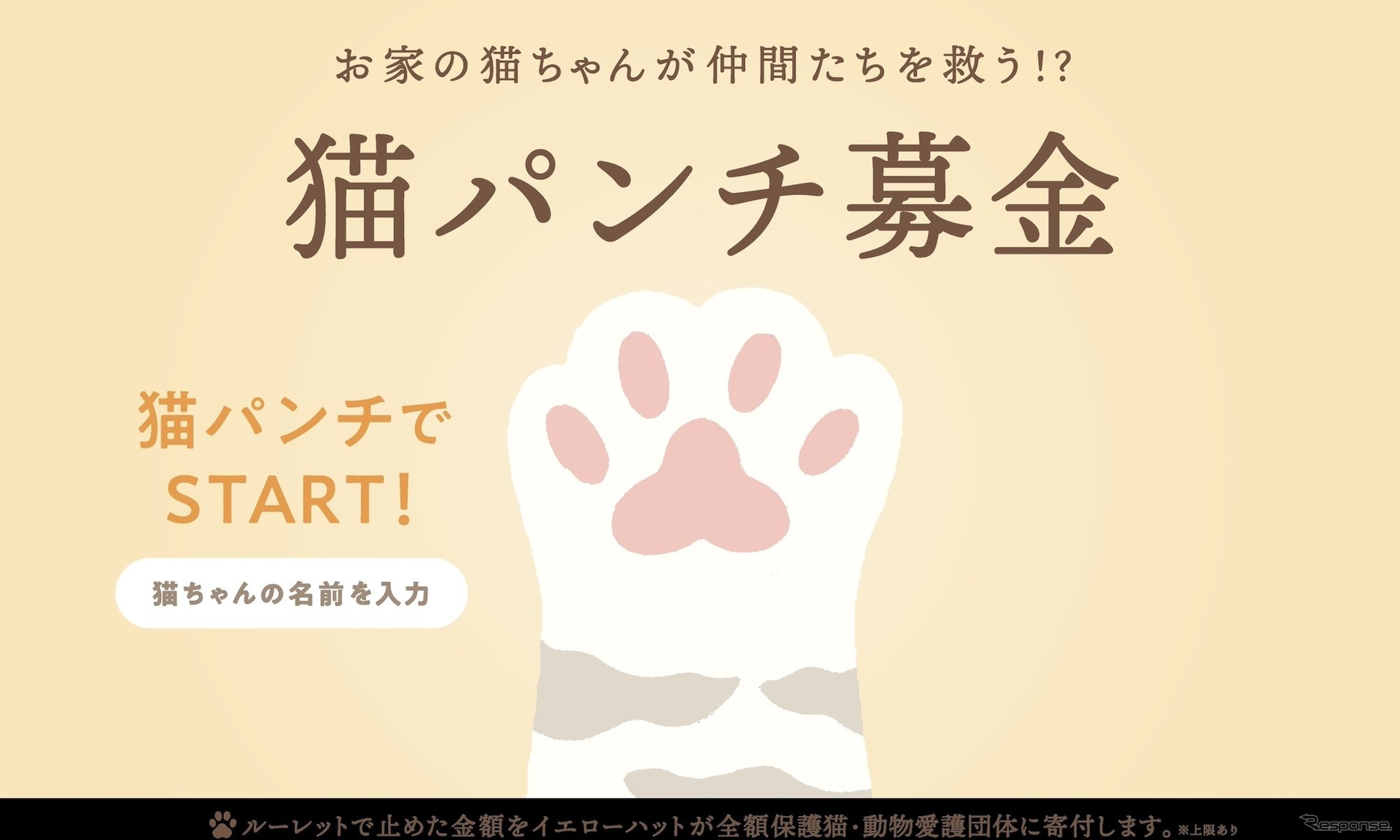 イエローハット：猫パンチ募金