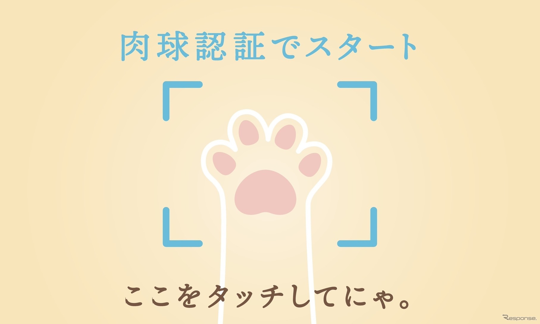イエローハット：猫パンチ募金