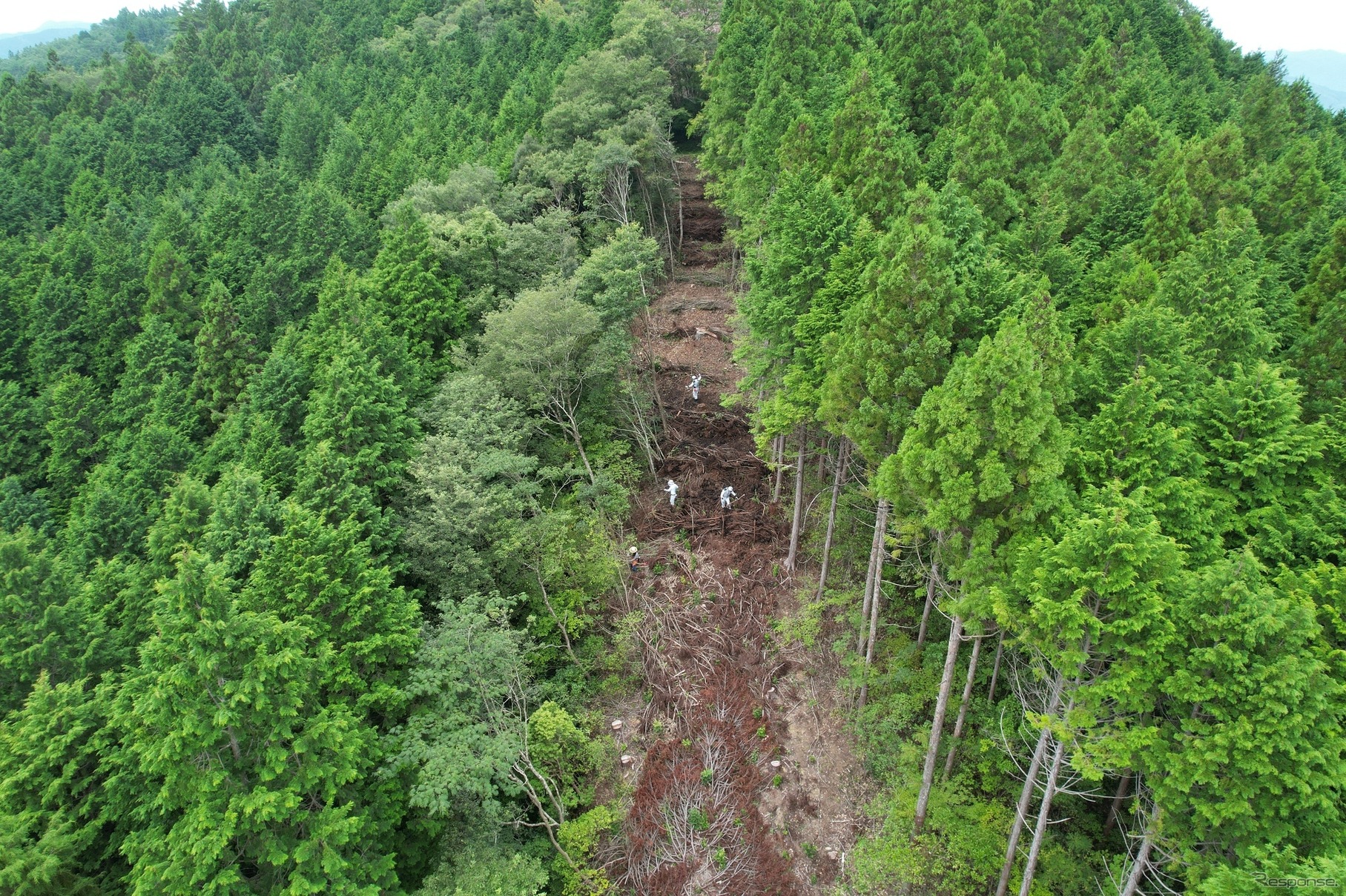 矢崎総業の林業