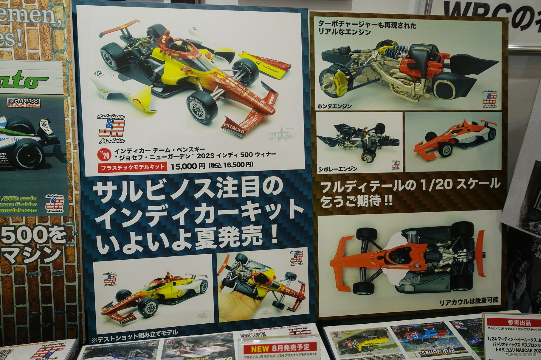 サルビノスのインディカー