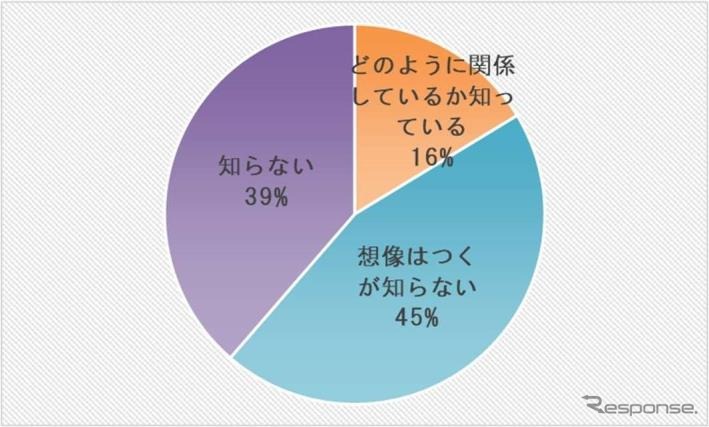 モータインパクトレポート