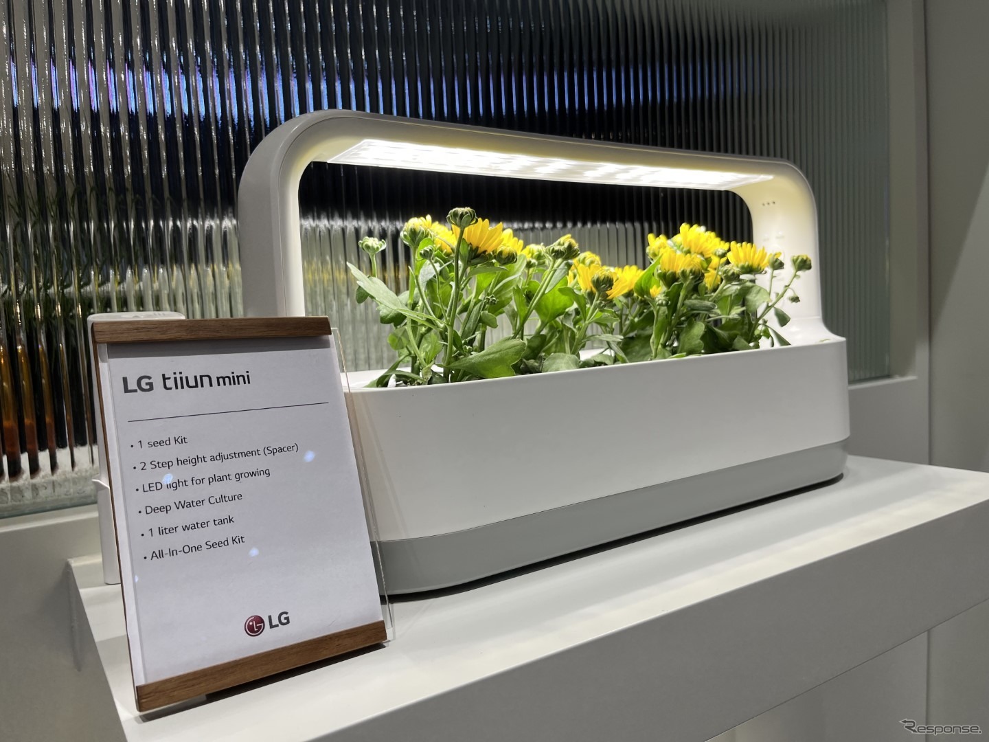 LGのLEDプランター。LGのほかボッシュなどの製品もあり