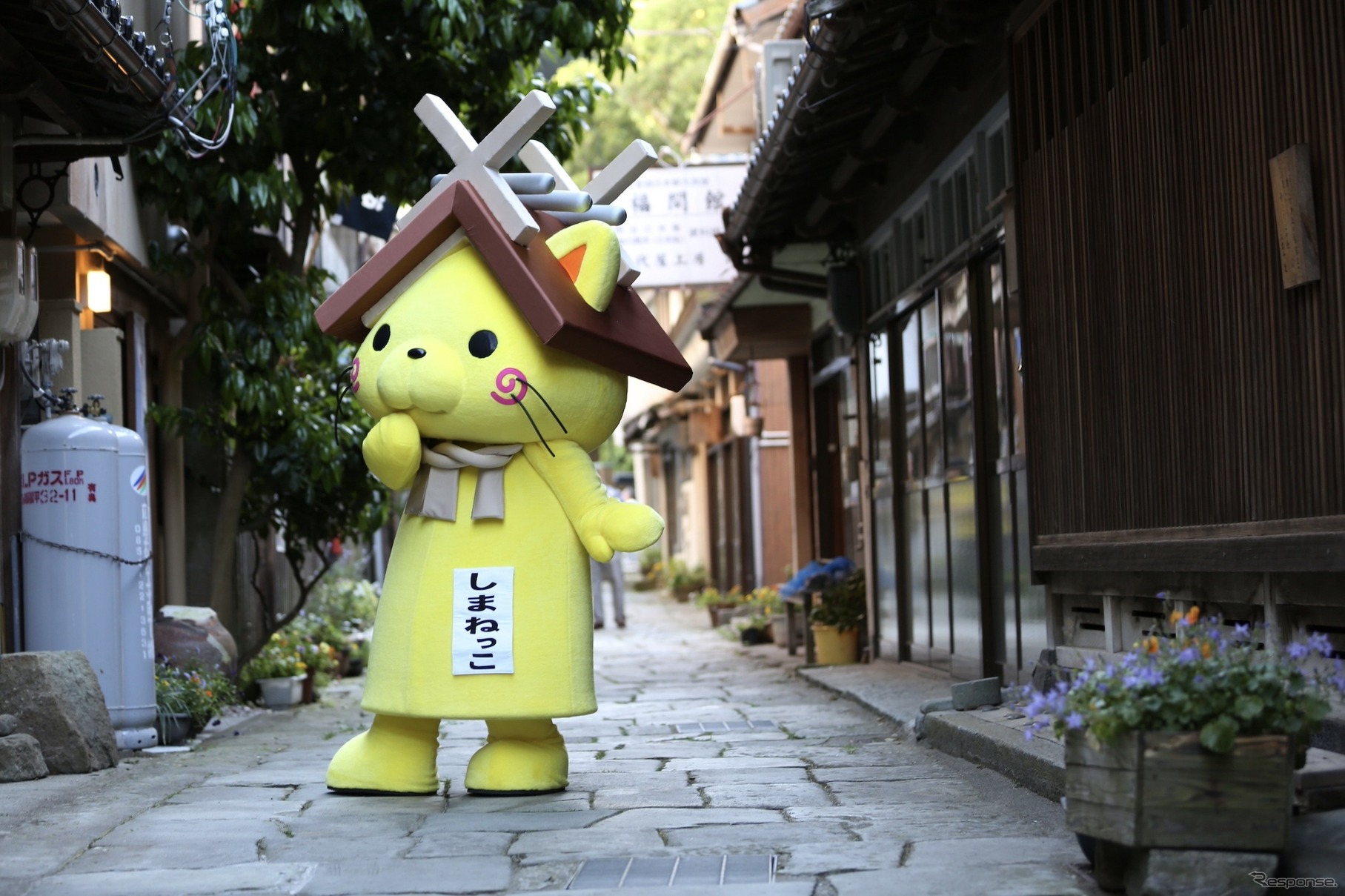 しまねっこ