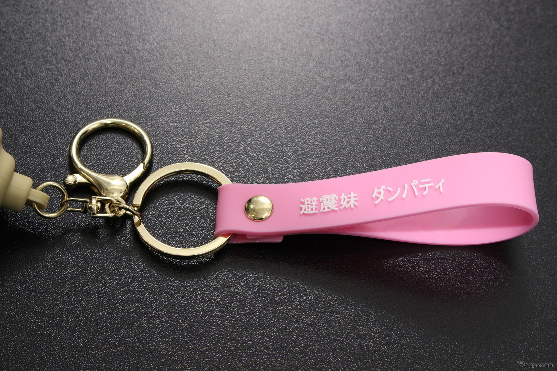 テイン「ダンパティ」キーホルダー