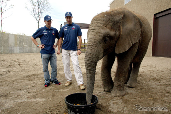 フレンツェン、アメリカGPでの復帰戦に意欲