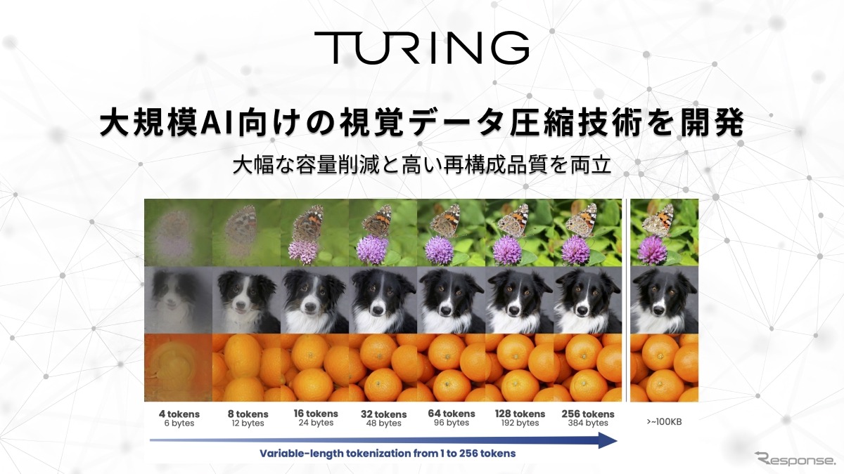 チューリングがマルチモーダルAI向け新圧縮技術を開発