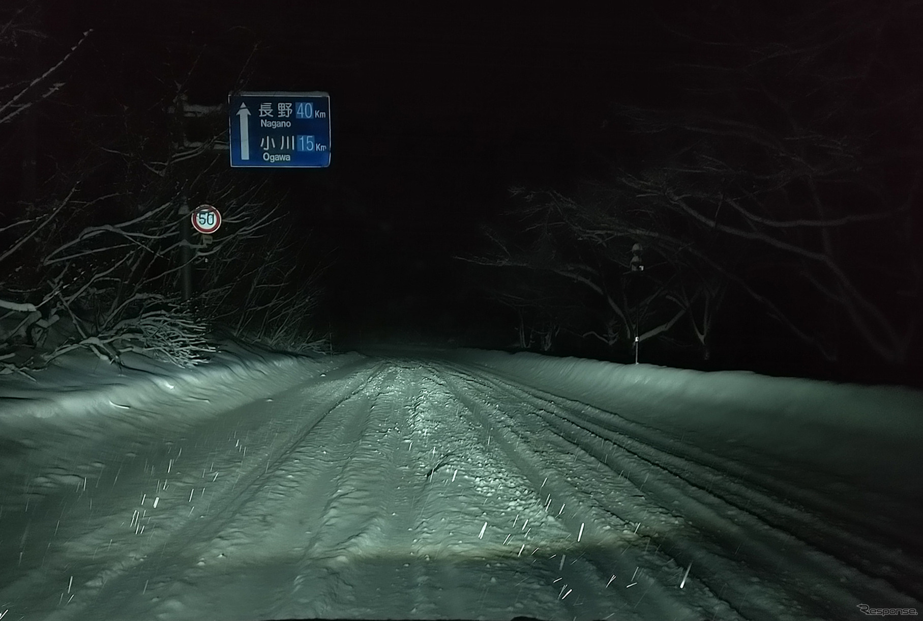 新雪が積もりつつある長野県道31号、通称オリンピック道路。サクラにとってはモノの数ではなかった。
