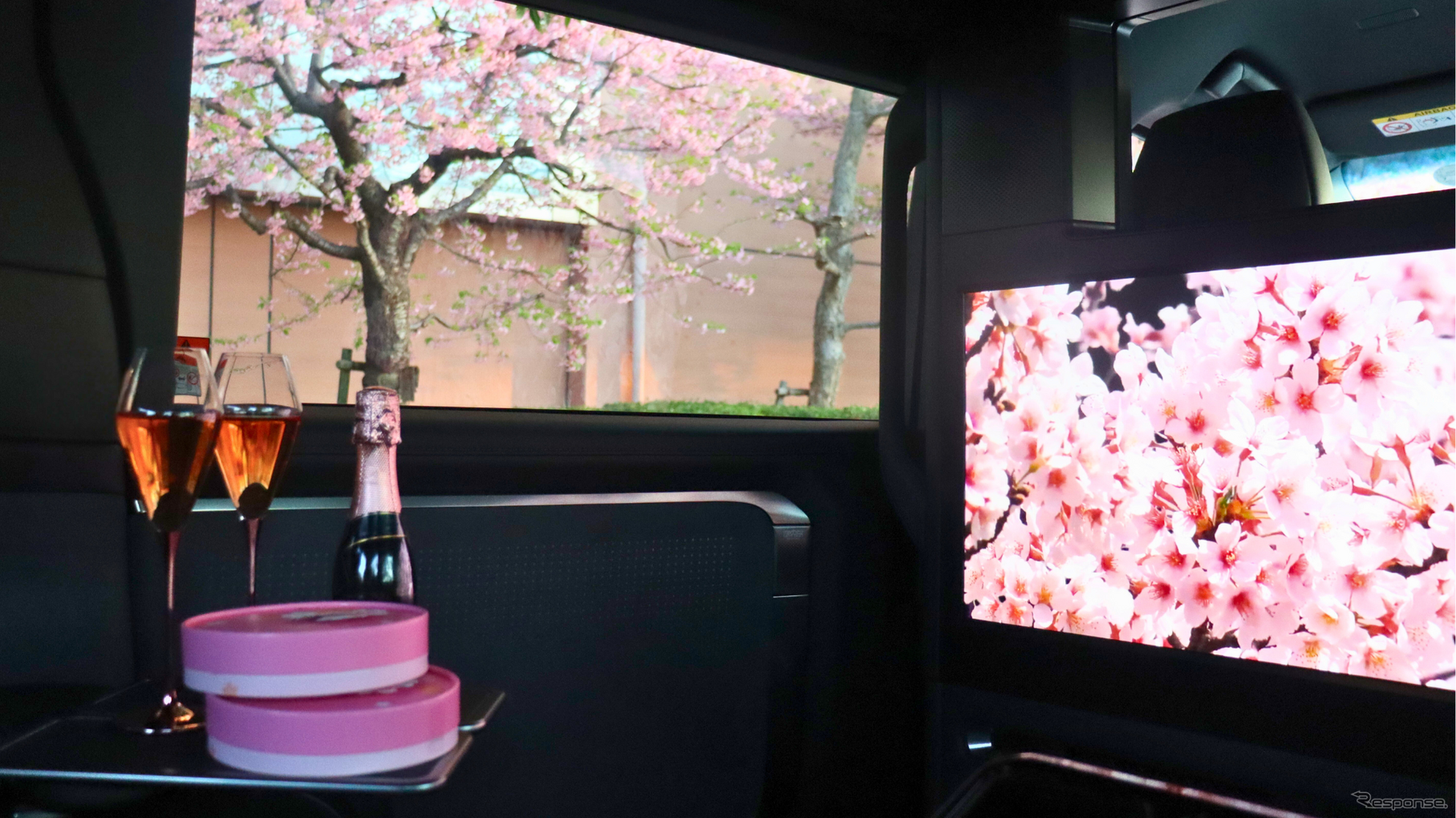 レクサス『LM』を使用した都内桜名所巡りプラン「SAKURA RIDE PLAN」