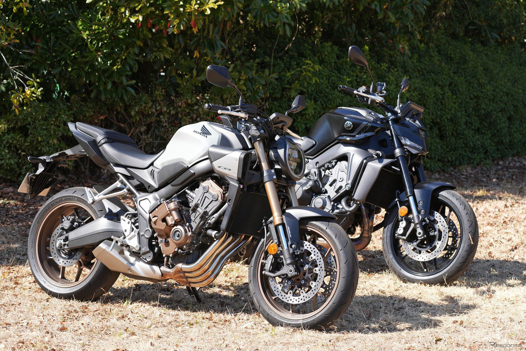 ホンダ CB650R E-Clutch（左）とヤマハ MT-09 Y-AMT（右）