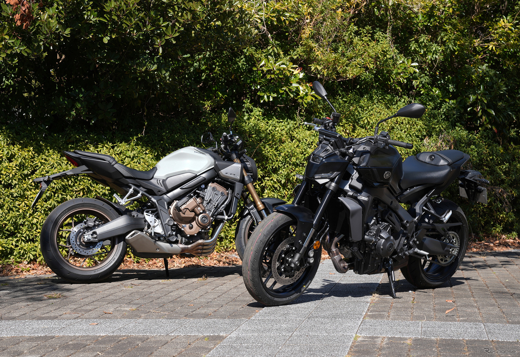 ホンダ CB650R E-Clutch（左）とヤマハ MT-09 Y-AMT（右）