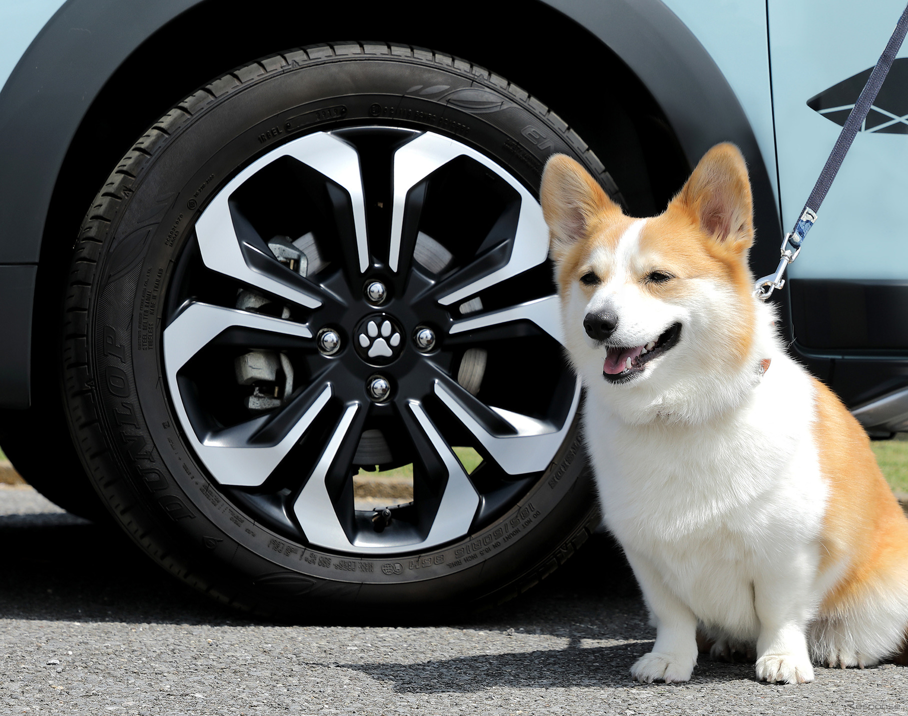ホンダドッグシリーズ「ペットセンターキャップ（肉球）」