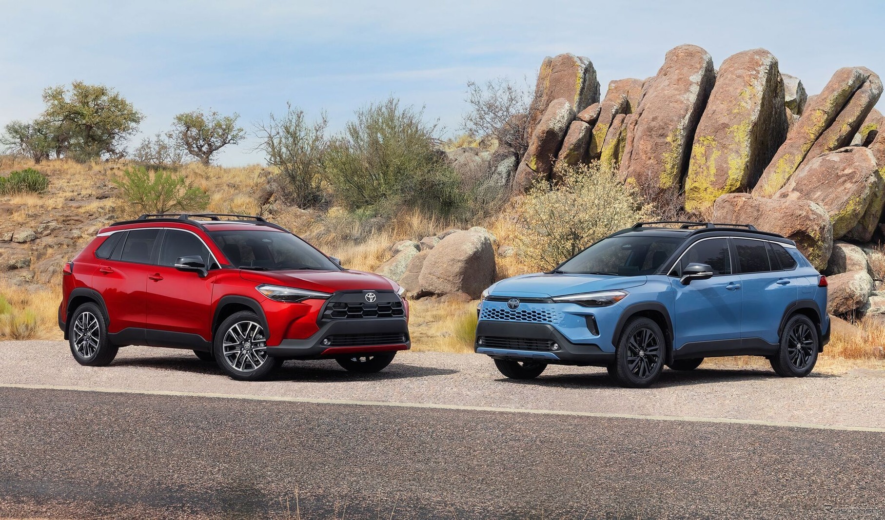 トヨタ・カローラクロス（ガソリン、左）とハイブリッド改良新型（米国仕様）