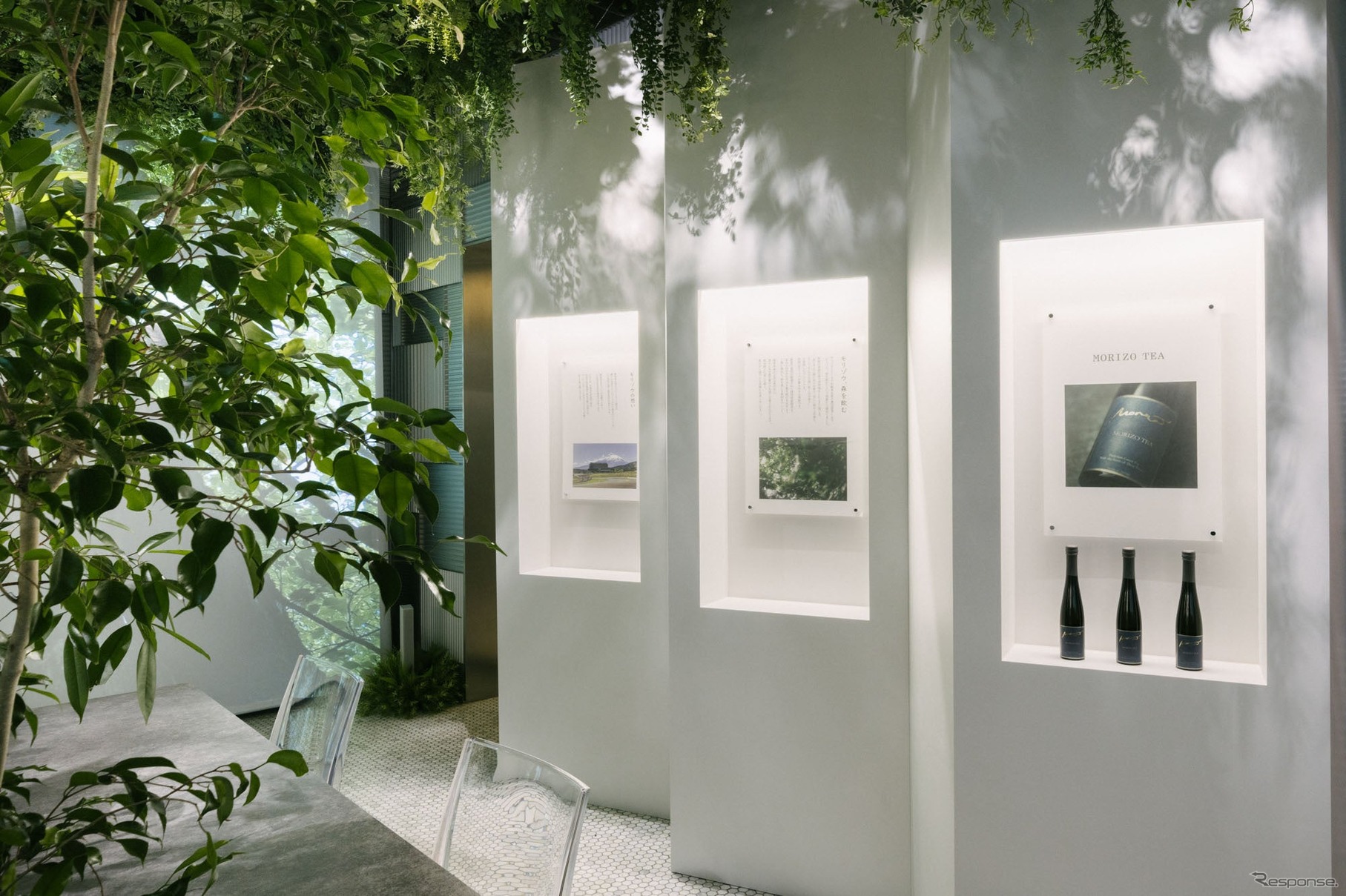 「MORIZO TEA（モリゾウティー）」を五感で体感できる特別展示