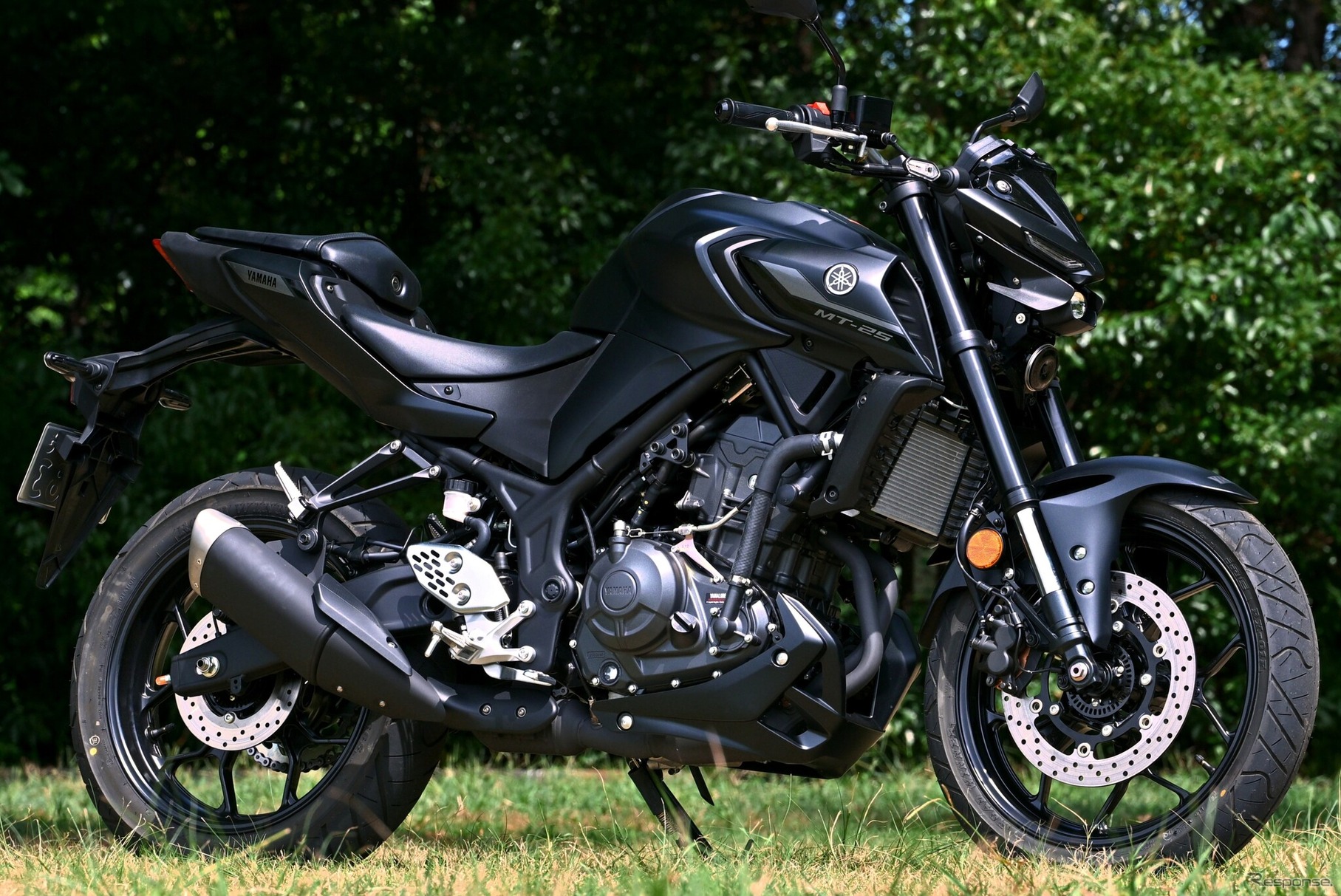 ヤマハ MT-25