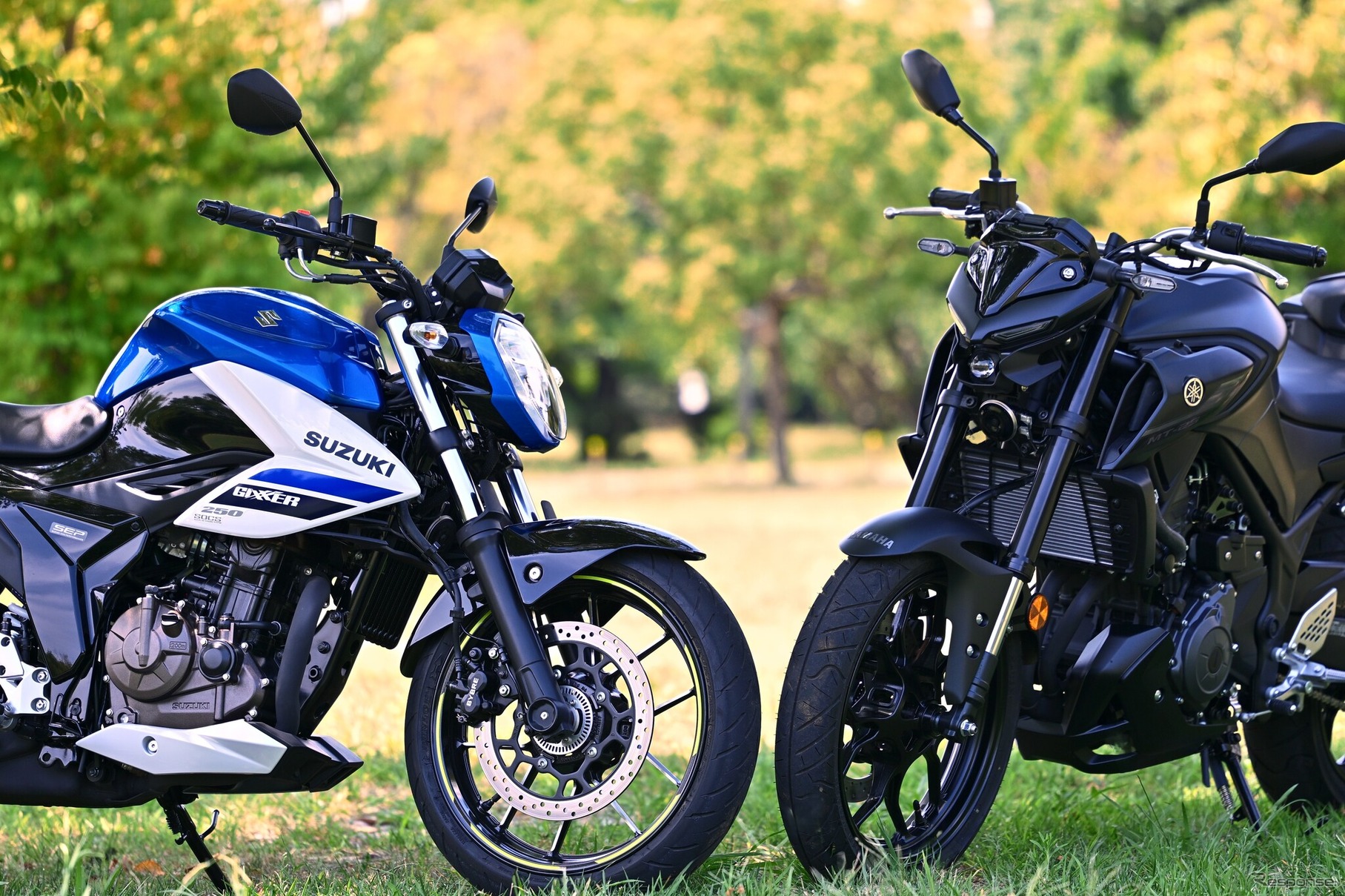 スズキ ジクサー250 ＆ ヤマハ MT-25