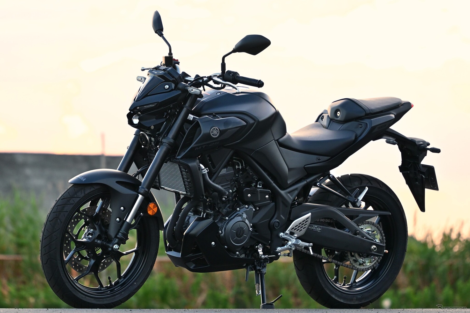 ヤマハ MT-25