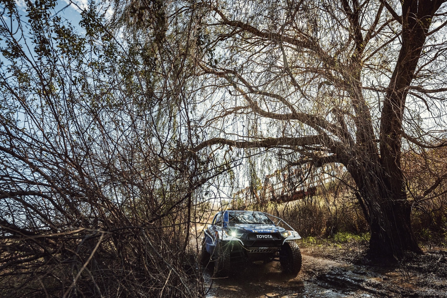 W2RC『SOUTH AFRICAN SAFARI RALLY』