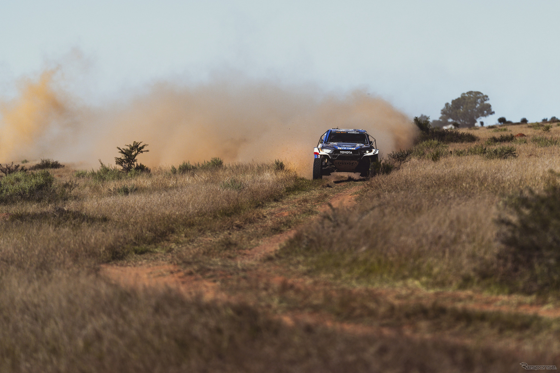 W2RC『SOUTH AFRICAN SAFARI RALLY』