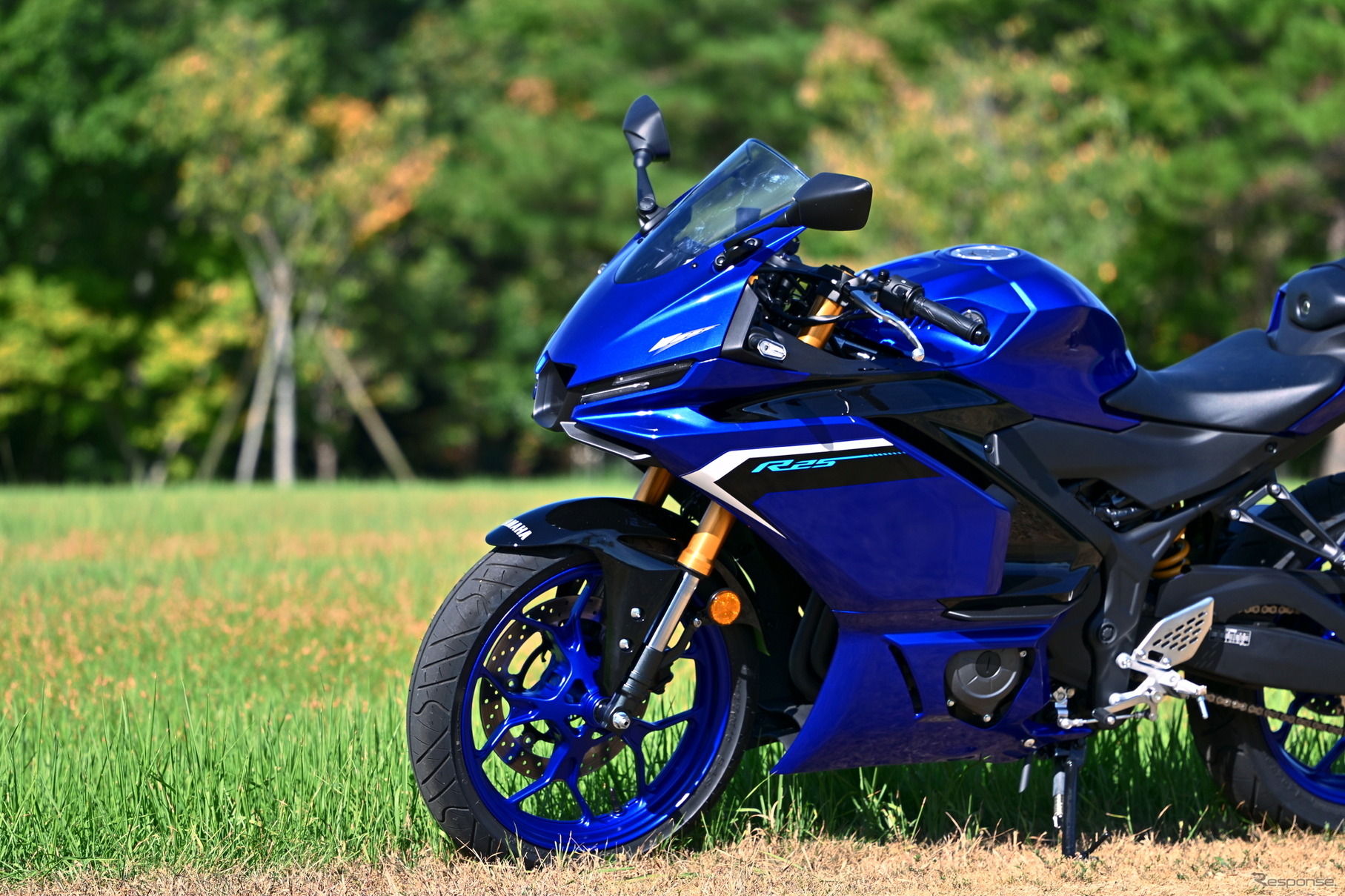 ヤマハ YZF-R25