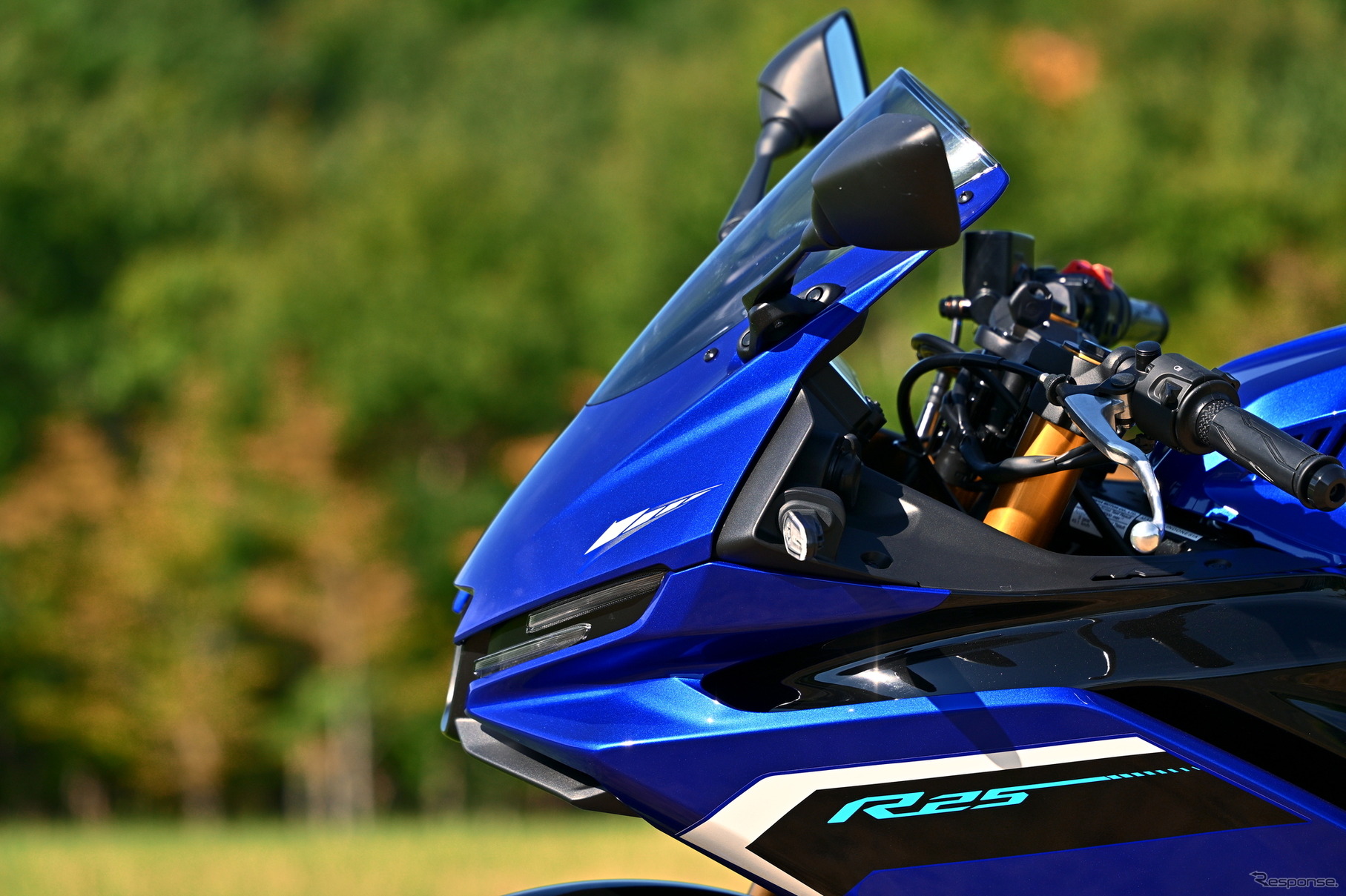 ヤマハ YZF-R25