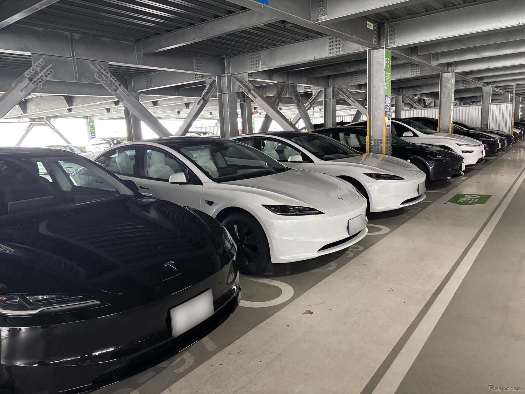 新しいオーナーを待つテスラのモータープール。遠方のナンバーを付けたテスラ車が数多く並んでいた