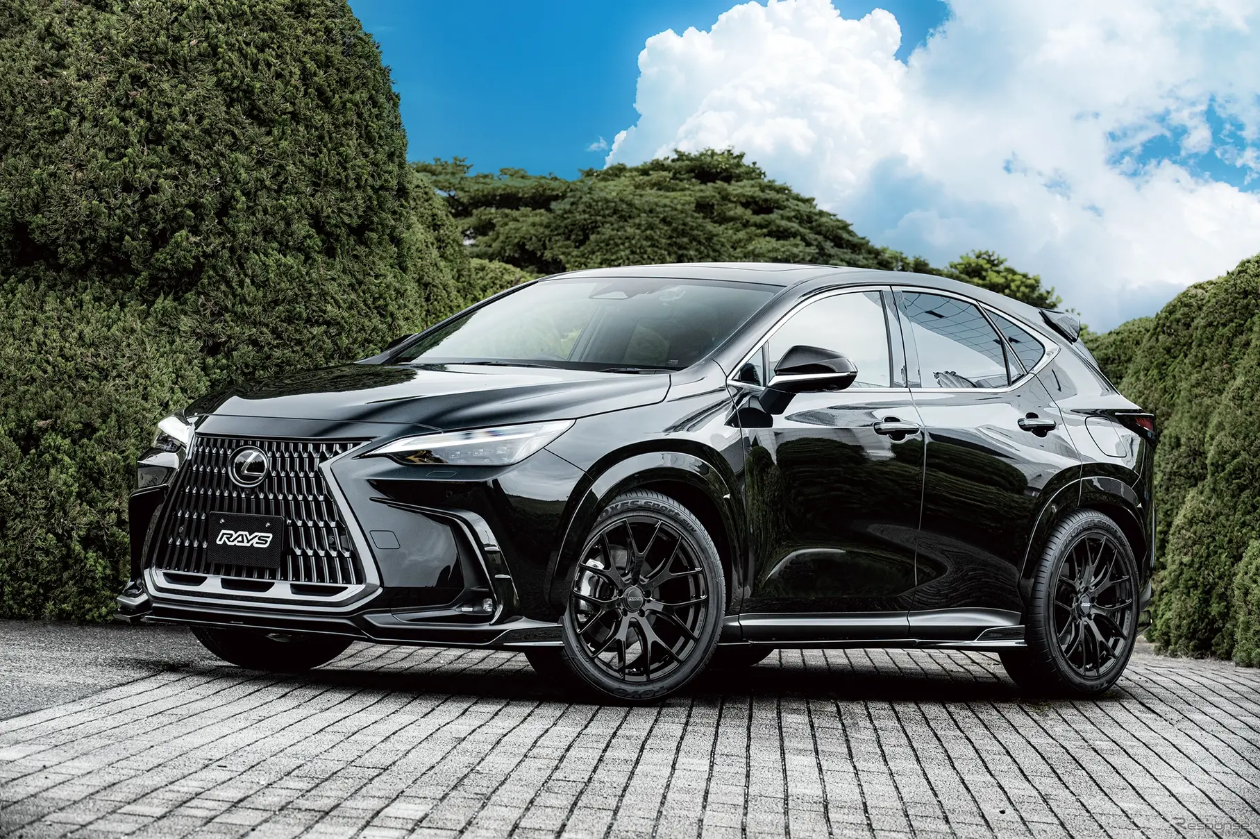 レイズ RSS RS 2×7FT × LEXUS NX