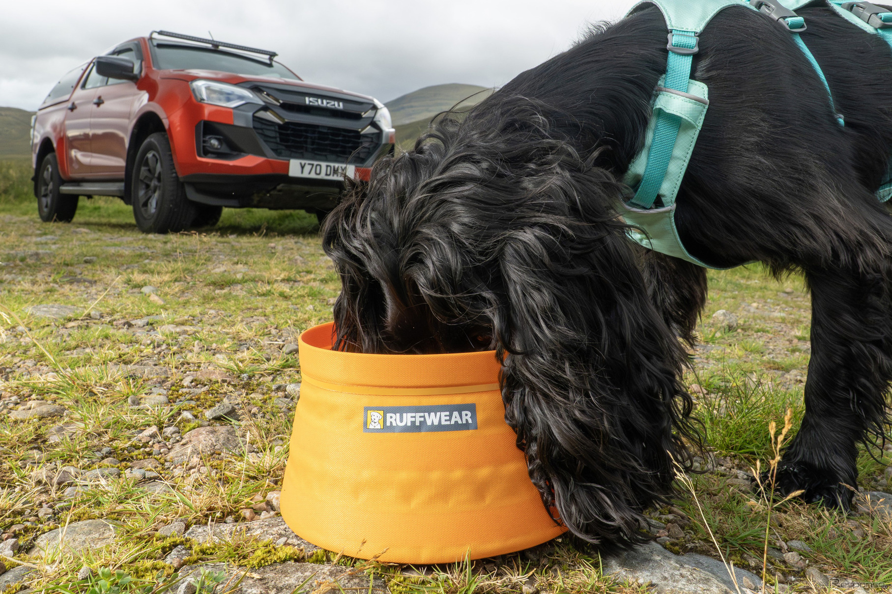 「いすゞD-Max×Ruffwearコレクション」