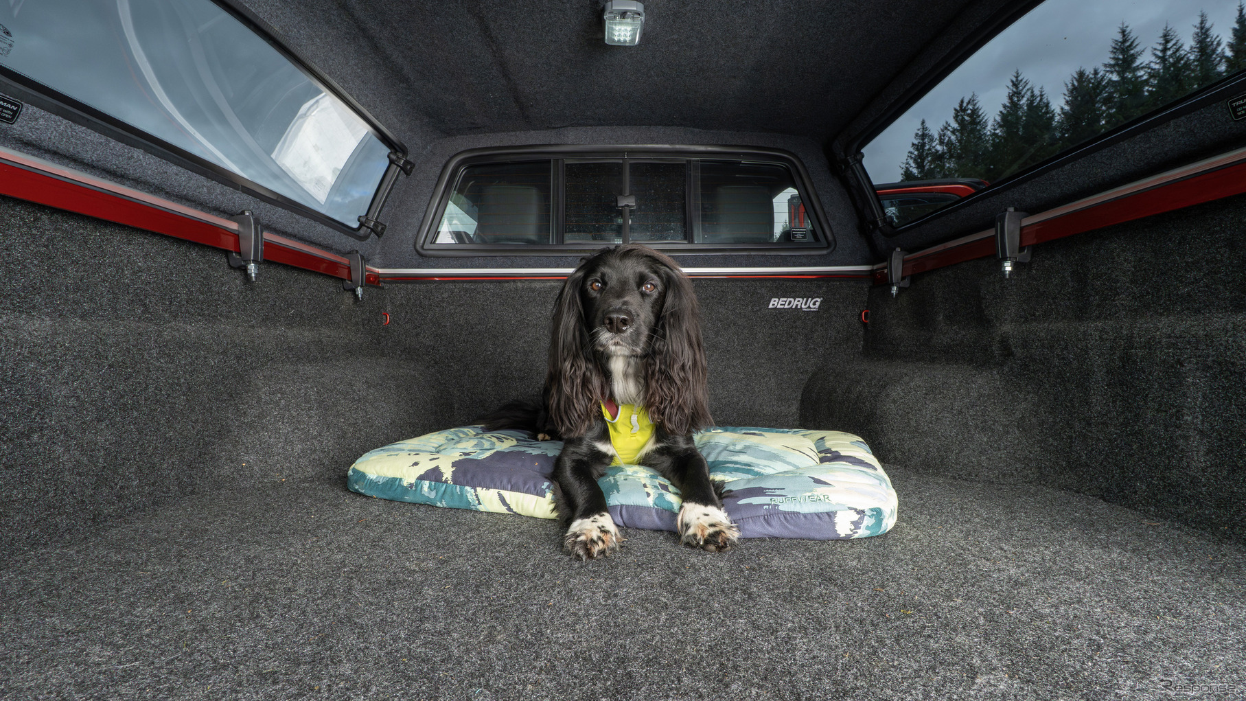 「いすゞD-Max×Ruffwearコレクション」