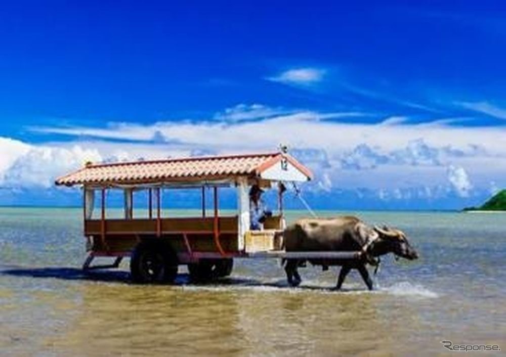 沖縄・由布島の水牛車