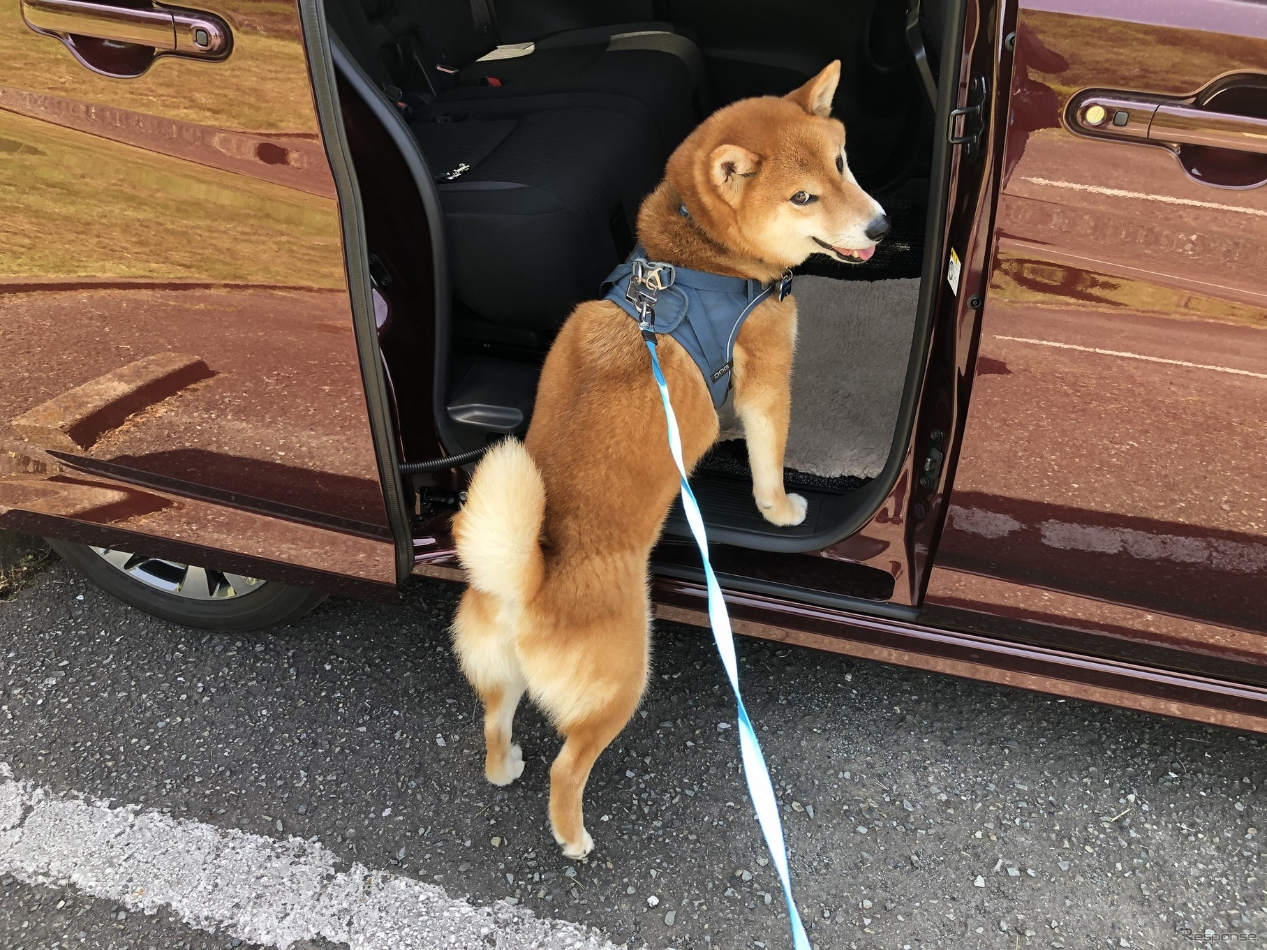 スズキ・ソリオ バンディット HYBRID MV