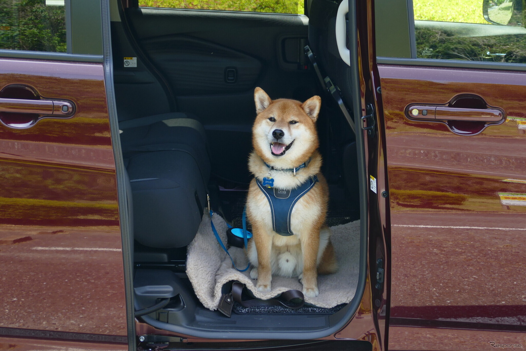 スズキ・ソリオ バンディット HYBRID MV