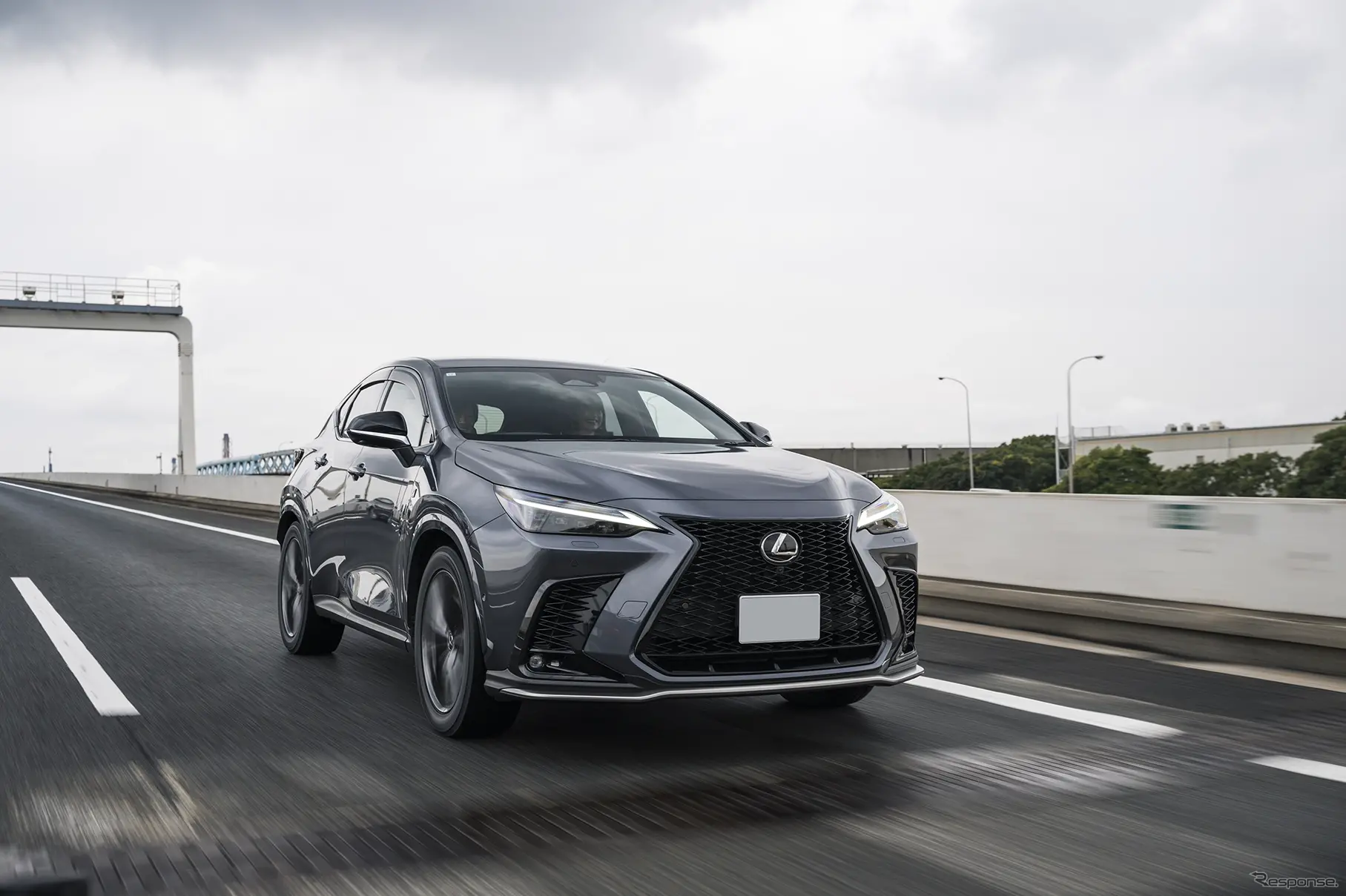 ブリヂストン『ブリザック WZ-1』