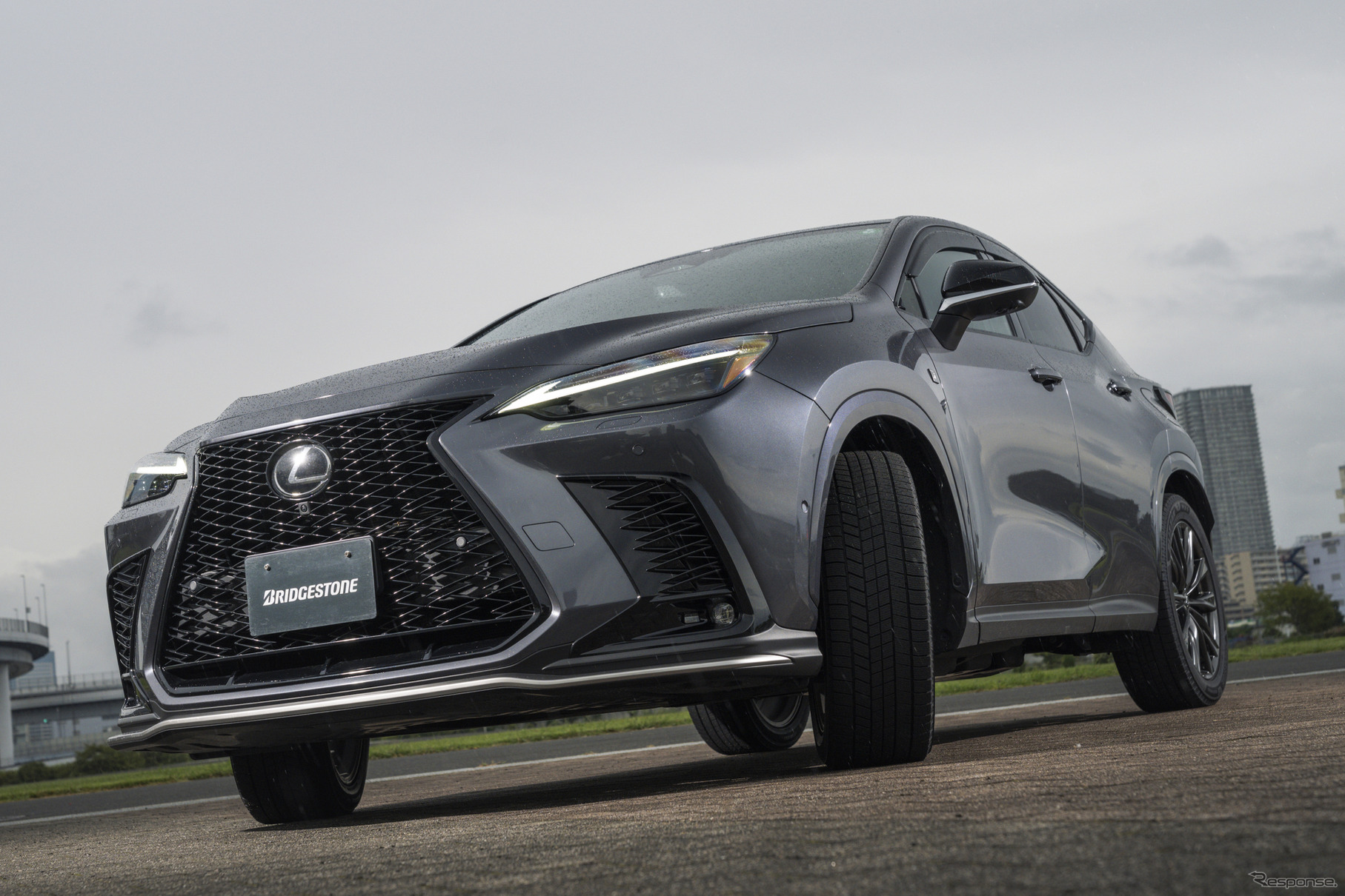 ブリヂストン『ブリザック WZ-1』