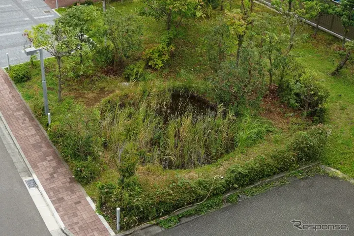JVCケンウッド敷地内の「とんぼ池」