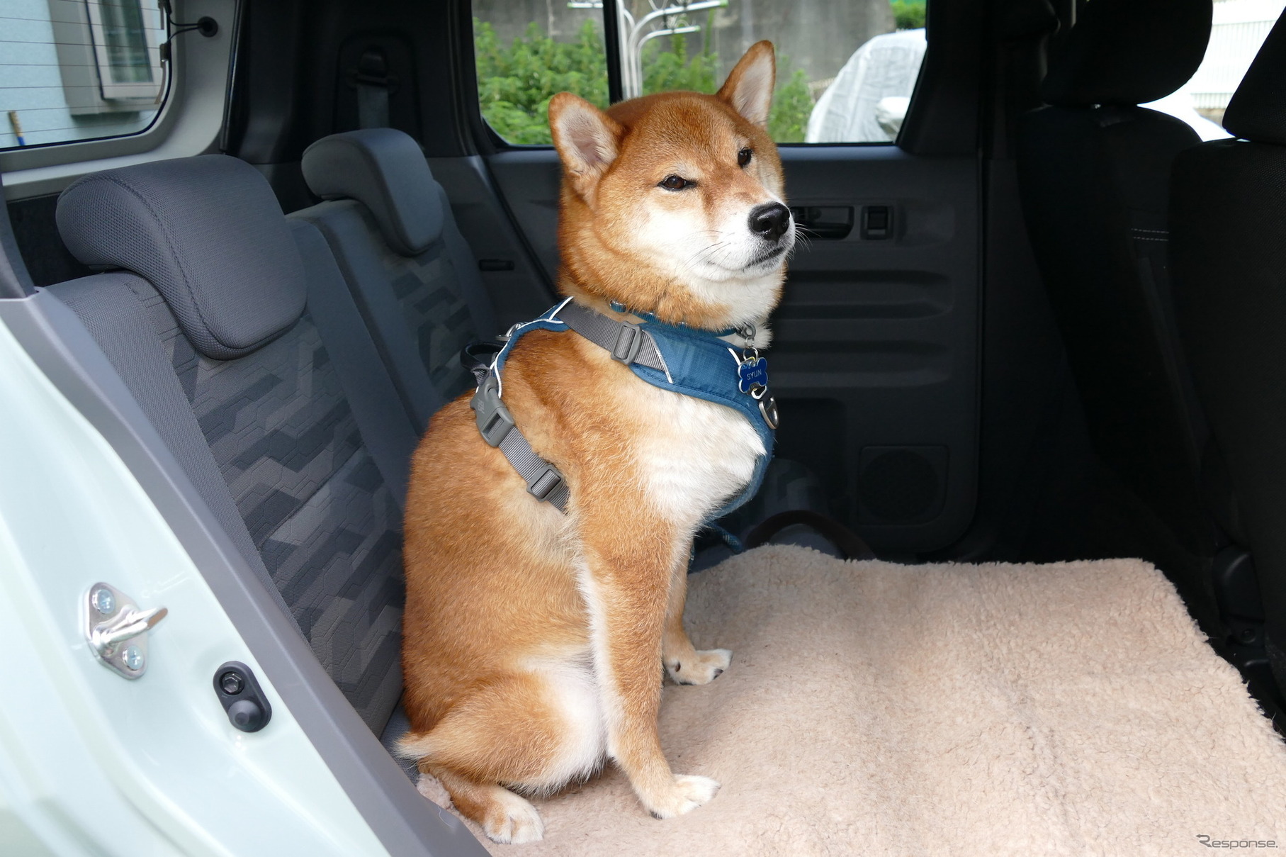 ダイハツ タフト Gターボ ダーククロームベンチャー