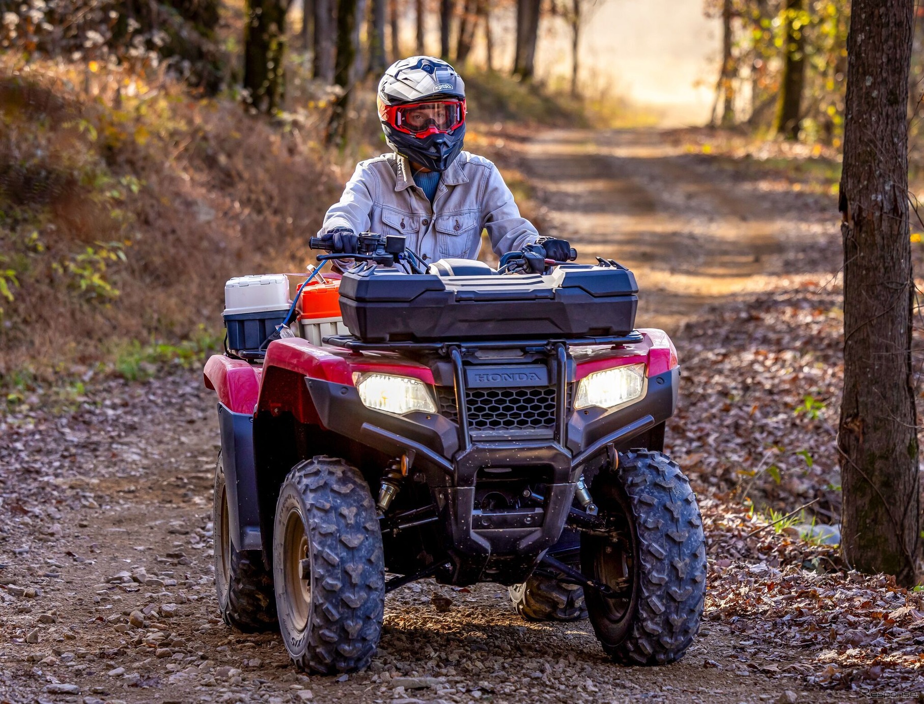米ホンダのATV「FourTrax」の2026年モデル