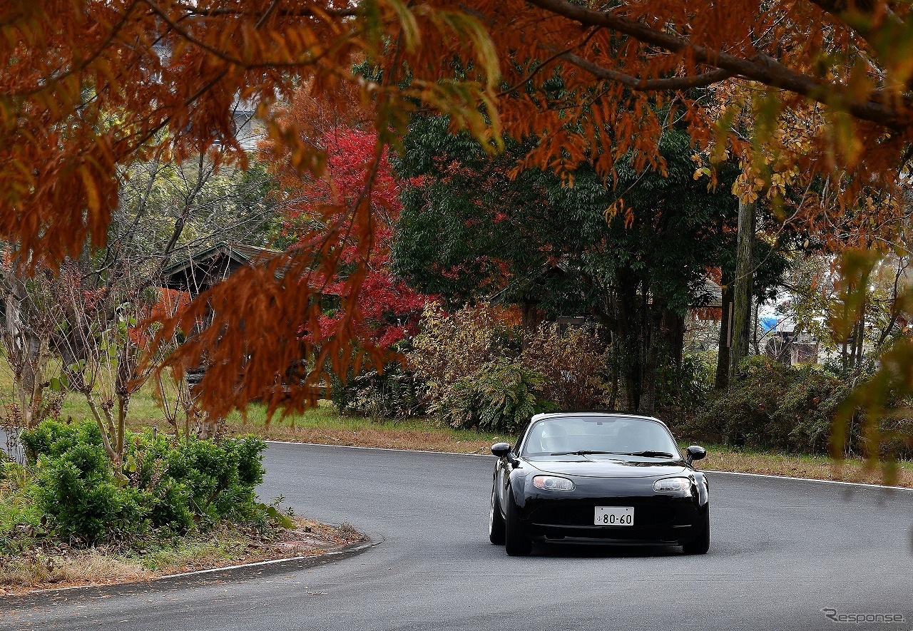 SROC NATS タイムトライアル2025