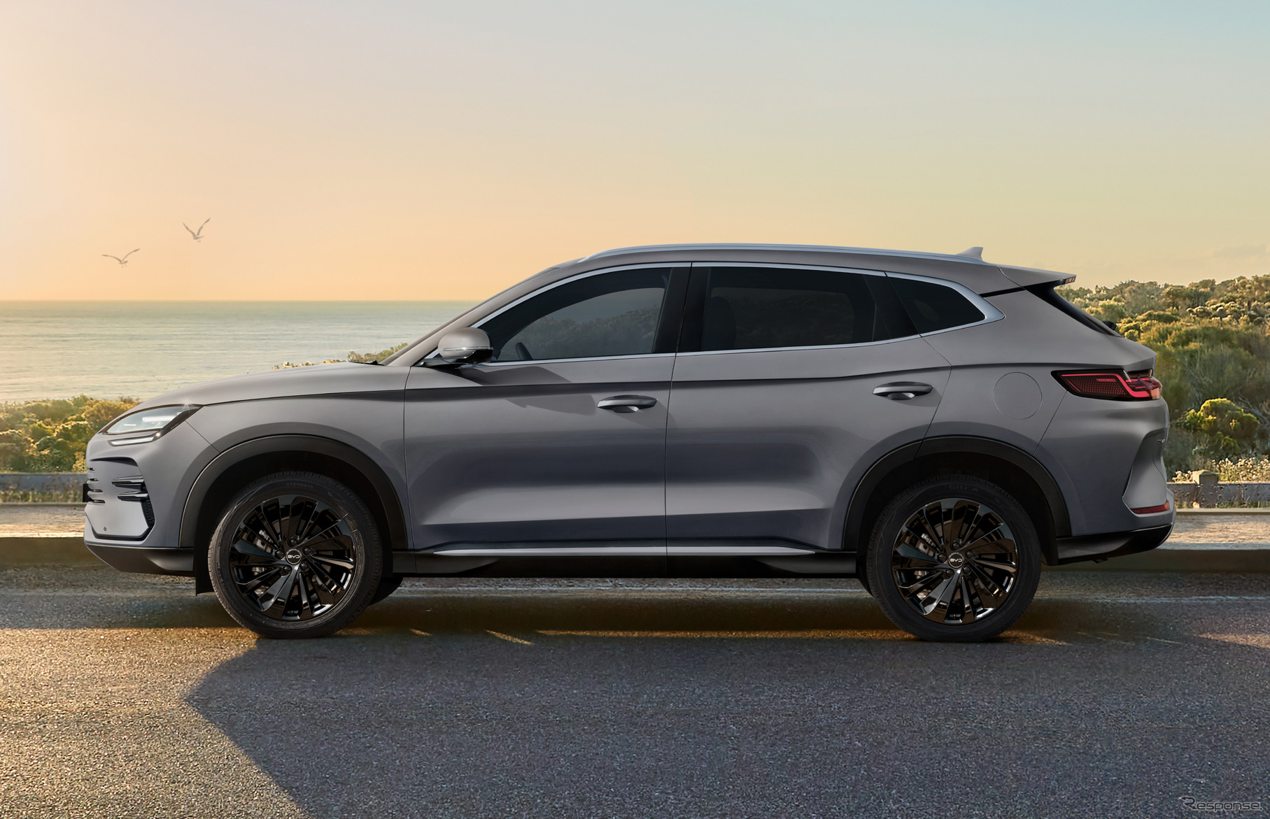 BYD シーライオン6