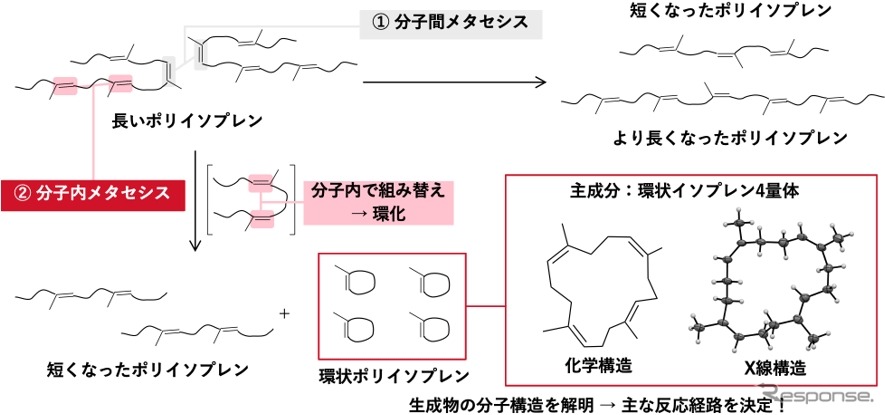 メタセシス化学分解の反応経路
