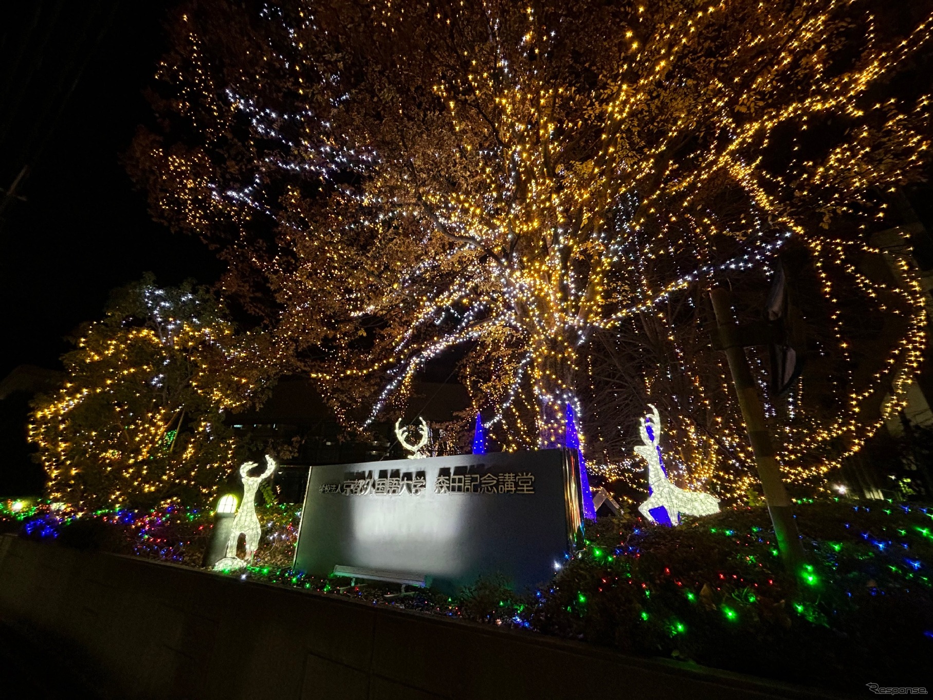 イルミネーションの様子