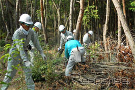 17日に高梁・JOMO ふれあいの森で実施された森林ボランティアの模様