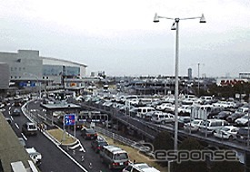 【シドニーへの道 Vol. 2】応援団殺到で空港アクセスはパニック?