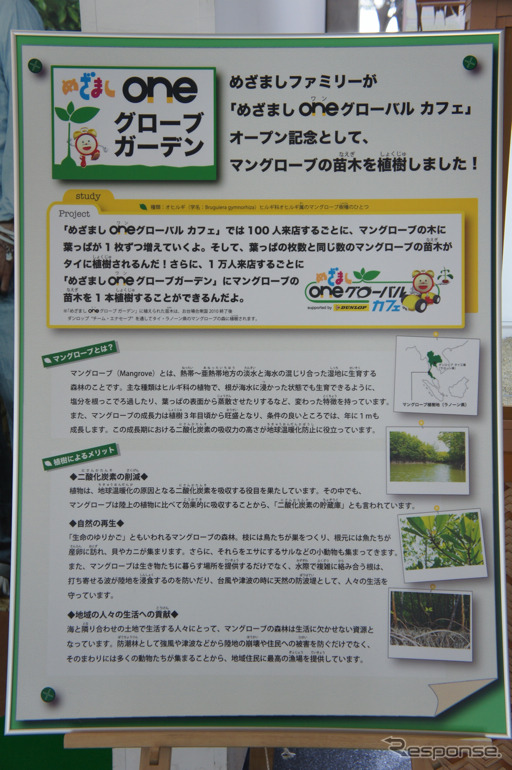 タイのマングローブ植樹を体験