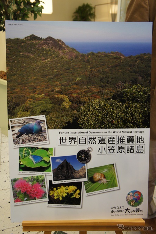 小笠原諸島のユネスコによる世界自然遺産登録の実現を目指す