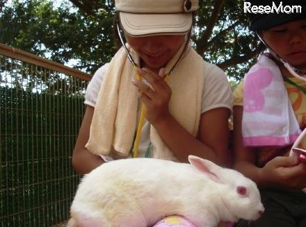 南海電鉄、飼育員や獣医の手伝い体験ができる「動物園サマースクール」 動物園スタッフの仕事体験イメージ
