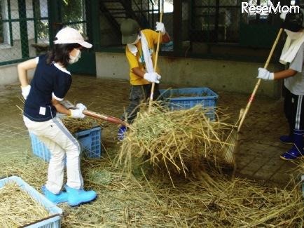 南海電鉄、飼育員や獣医の手伝い体験ができる「動物園サマースクール」 動物園スタッフの仕事体験イメージ