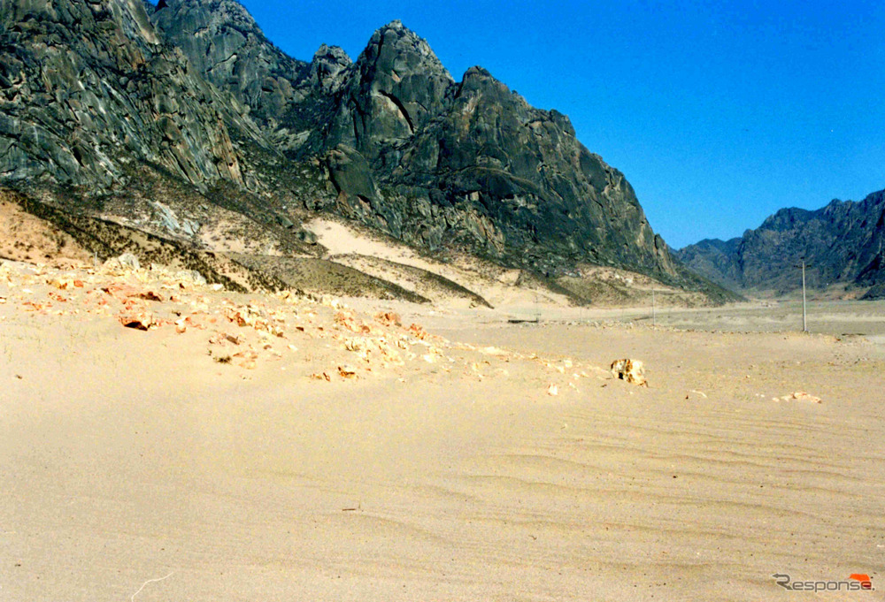 植林前（2001年）