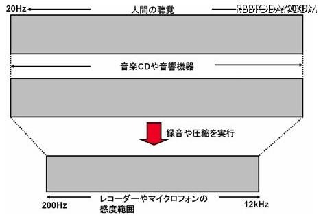 人間の可聴域（録音や圧縮を行うと、聴取可能な音波帯域は狭くなる）