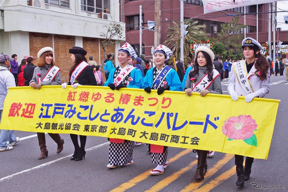 大島で「椿まつり」開催　パレードに i-MiEV とミスEV