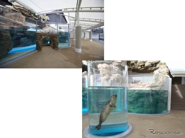 京都水族館かいじゅうゾーン